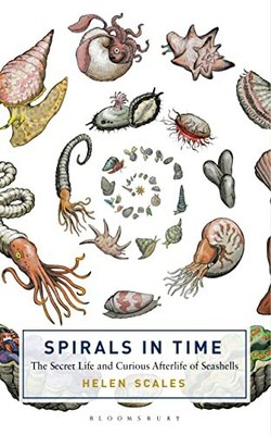 Spirals in Time: The Secret Life and Curious Afterli by Scales, Helen 1472911369