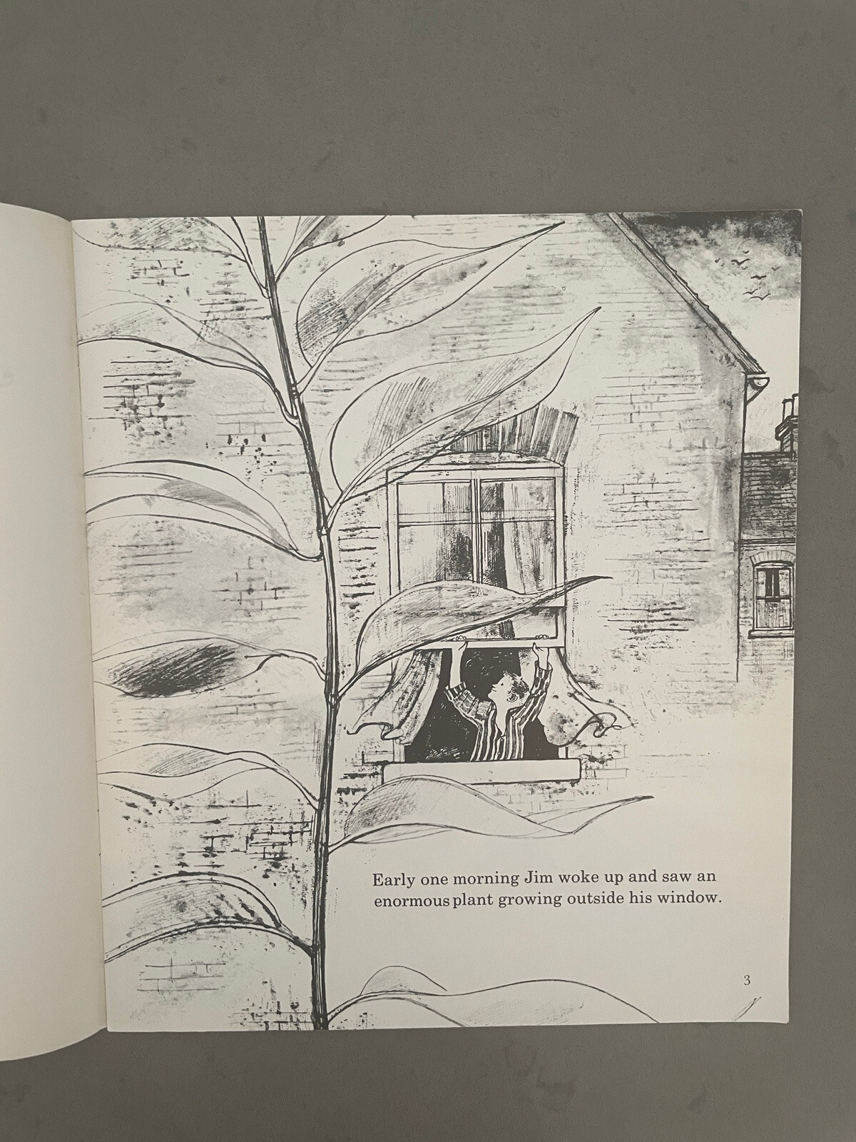 Jim and the Beanstalk - RAYMOND BRIGGS - Picture Puffin Edition 1973 PB ...