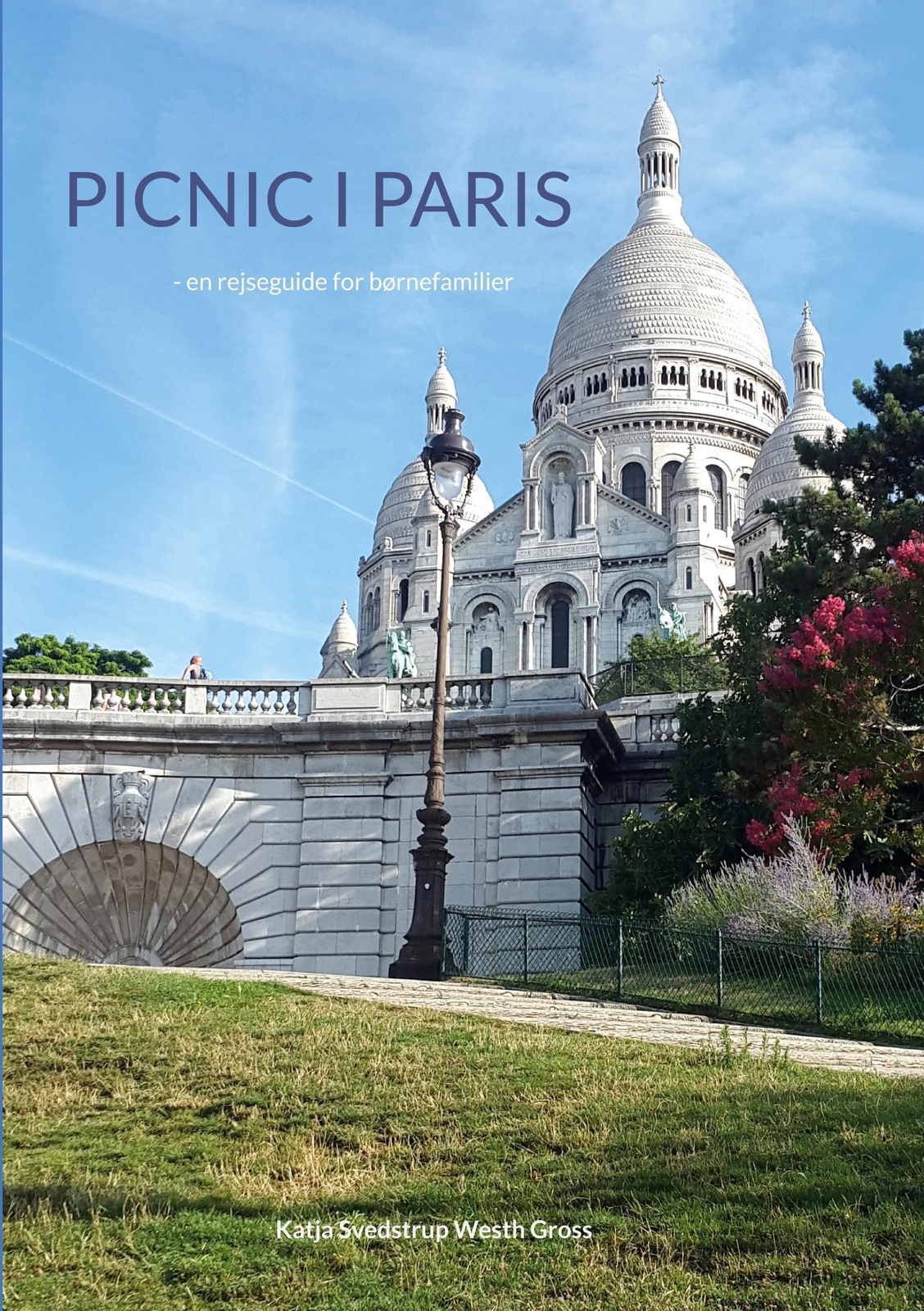Katja Svedstrup Westh Gross | Picnic I Paris | Taschenbuch | Dänisch