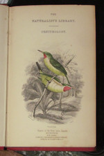 1844 FLYCATCHERS by SWAINSON 31 COL PLT BIRDS ORNITHOLOGY VOL XVII JARDINE BIRD