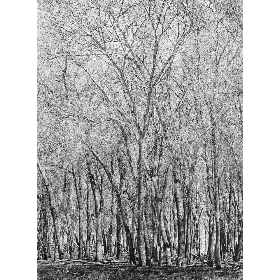 Kits de enmascaramiento Unsharp hechos por Lynn Radeka para Saunders LPL 4550 ampliador Foto 4 de 4