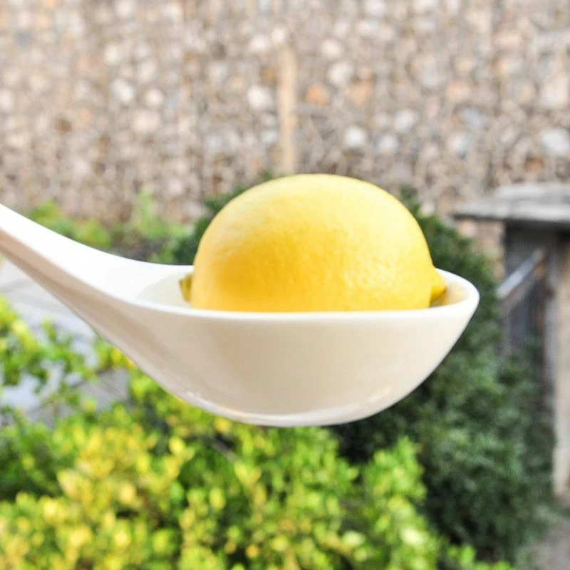 23cm Porcelain Soup Ladle Tableware Kitchen Tool Home Long Handle Soup Spoon - Image 3 of 4