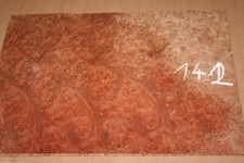 Rüster Veneer - Elm Veneer 260 Mm X 360 Mm -...
