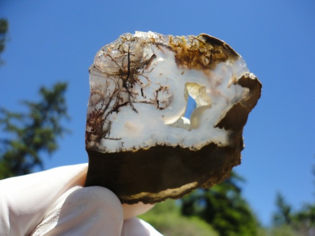 Priday Moss Agate Polished Slab Thick Moss Inclusions In Green and Pink