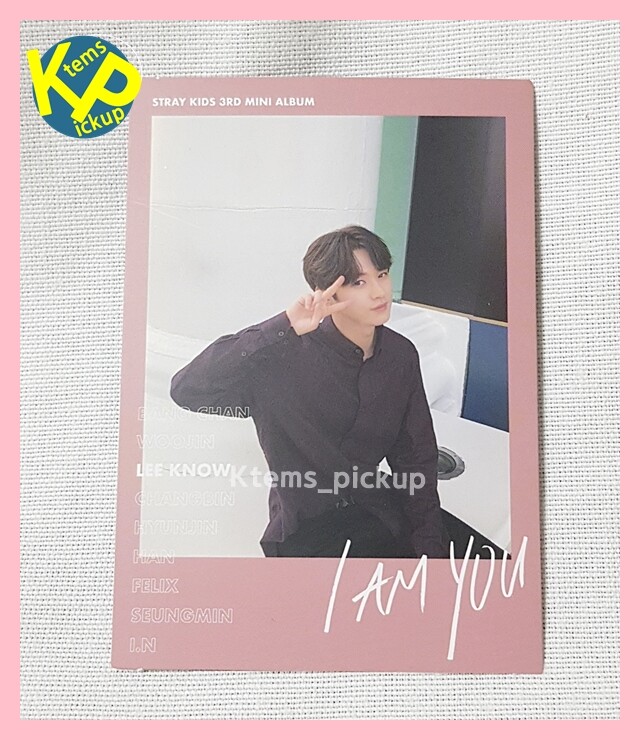 Stray Kids I Am YOU album official Photocard Pink Polaroid