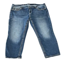 Vigoss Capri Heritage Fit Jeans Women's Plus Size 24 x 25 Stretch Metallic
