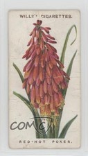 1913 Wills Old English Garden Flowers Series 2 Tobacco Red-Hot Poker #43 2w3