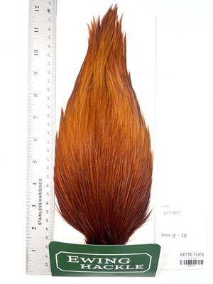 Ewing Hackle - Dry Fly Cape - Ginger #741