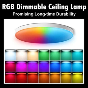 Smart Rgb Round Ceiling Light Fixture 24w 3000k-6500k Indoor Lighting Led Lights