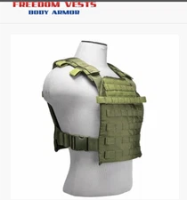 Sentry Ar500 10x12 Level III Plate Carrier Green  Body Armor Bullet Proof Vest