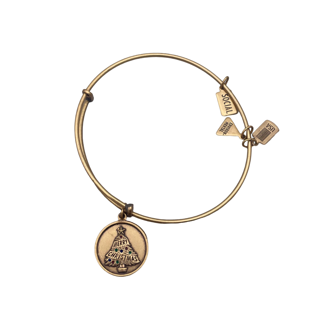 Alex Ani Charm Merry Christmas Dangle Bangle Bracelet Expandable