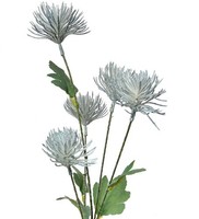 Clayre & Eef 5PL0124BL Dekoration Zweig Mit Blumen Weiß 16X9X70 Cm