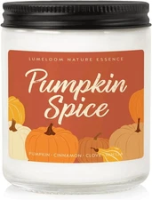 Pumpkin Candle, Fall Gifts - 9oz Cinnamon Spice Soy As the Picture 