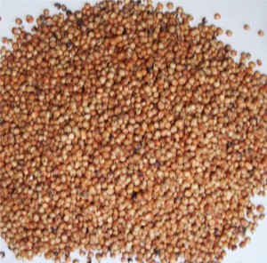 milo seed milo seed