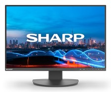 Sharp Display Solutions Sharp MultiSync EA241W Monitor PC 61 cm (24") 1920 x