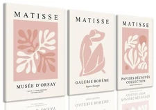 Djmwtb Matisse Abstract Canvas Wall Art Framed Set of 3 Pink Flower Market Po...