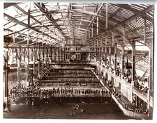 1900 SAN FRANCISCO SUTRO BATHS POSTER VIEW SWIM POOLS&BATHERS~LARGE 11x14" PHOTO