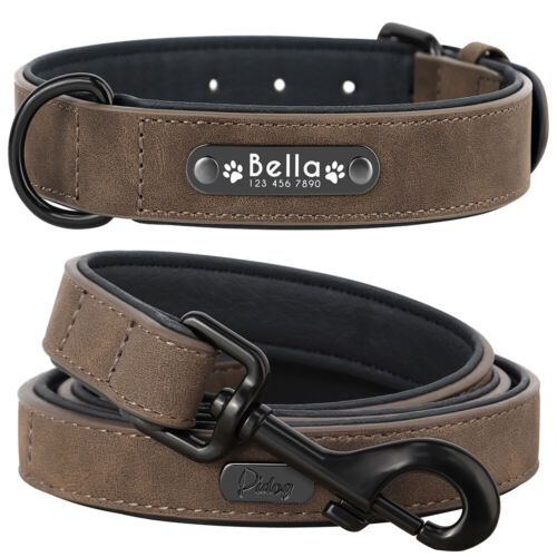 Collar y plomo de Piel Suave Acolchada Personalizable para Perro, Nombre Número - Picture 3 of 38