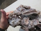 Foto 6 di 12