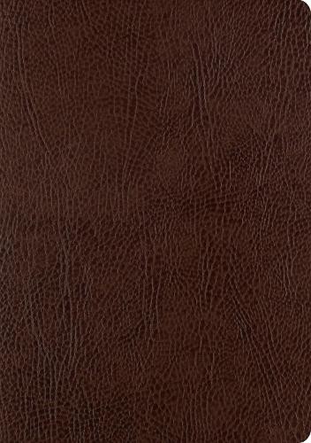 ESV Single Column Journaling Bible, Large Print by Crossway - 9781433555381