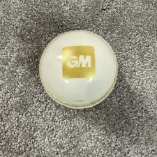 GM Skill Poly Soft Cricket Ball &ndash; Synthetic Leather Training Ball White/Red