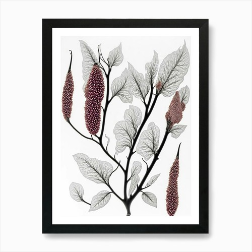 [ POSTER ONLY A4 ] Seeds Ripening Nature Art Print Framed Wall Art ...
