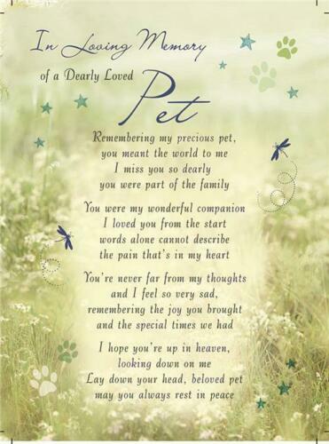 Memorial graveside card Mum Dad Sister remembrance plastic coated waterproof - Picture 30 of 35