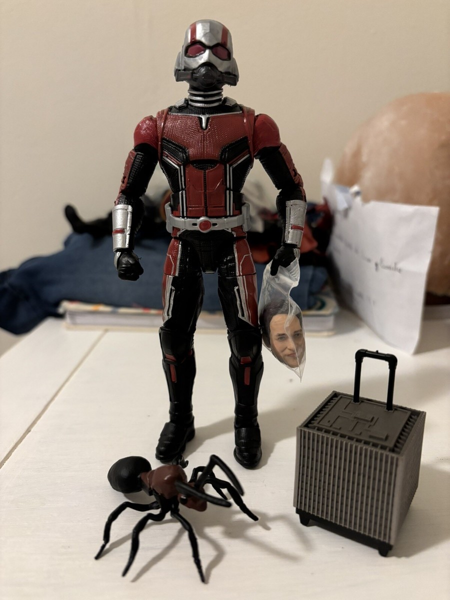 MARVEL LEGENDS HASBRO ANT-MAN & WASP セット Marvel Legends Ant Man and Wasp action figure set review