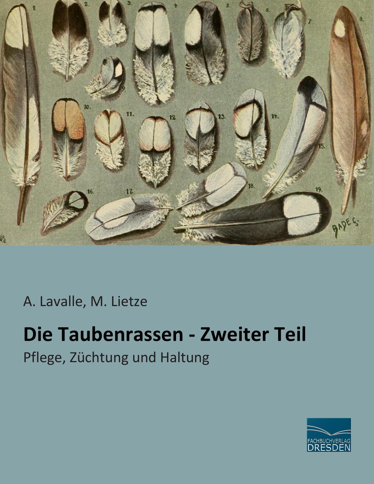 A. Lavalle (u. A.) | Die Taubenrassen - Zweiter Teil | Taschenbuch |