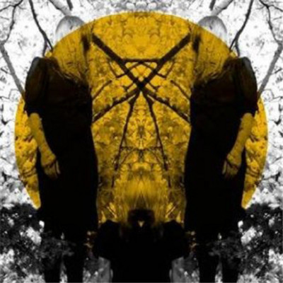 Austra Feel It Break (CD) Album