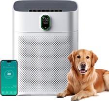 Air Purifier for Allergy Sufferers, Air Purifier for Smoking Rooms, HEPA Filter 
