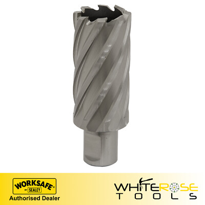Sealey Rotabor Cutter HSS Ø31mm - Schnitttiefe 50mm Worksafe Elektrowerkzeuge Bohrereinsatz