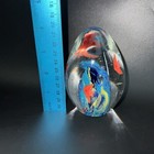 Foto 11 di 12
