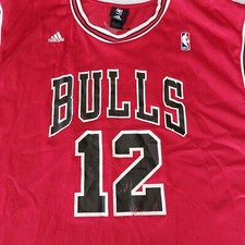 kirk hinrich jersey products for sale | eBay