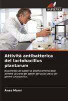 Anas Mami | Attività Antibatterica Del Lactobacillus Plantarum | Taschenbuch