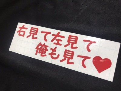 I Want to See Sticker Seal Funny Joke Parody Deco Truck Helmet Old Car Andon Fis