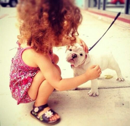 Zapatos de Cuero Superior Havaianas