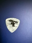 ((( STEVE MILLER ))) guitar pick VERY RARE #1 — photo 1