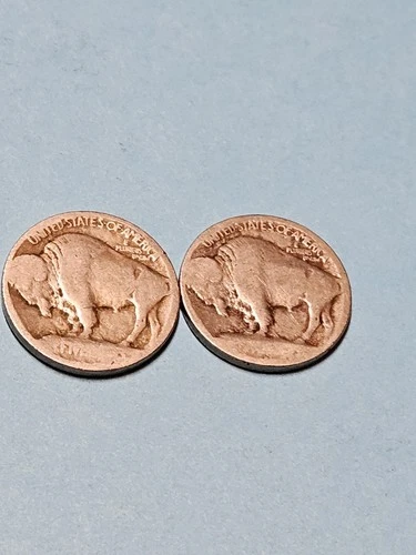 1913 Type 1 P & D Buffalo Nickels - Free Shipping- A434