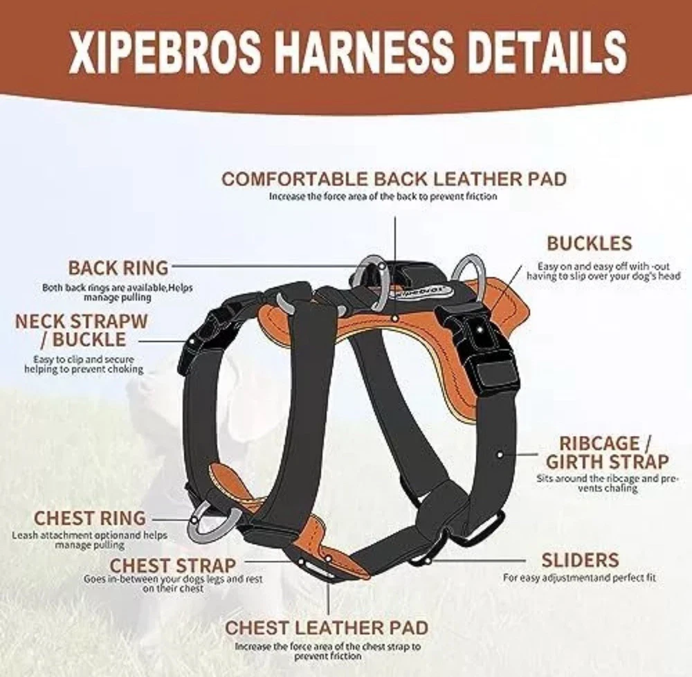 Dog Harness, no Pull Dog Harness with lesthe Pads,Ideal for Dog Medium Black