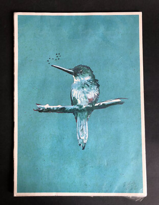 #ad Jenny Robins Illustration Limited Edition 2 3 Jacamar Bird Print 21x29cm 2012 GBP 10.00