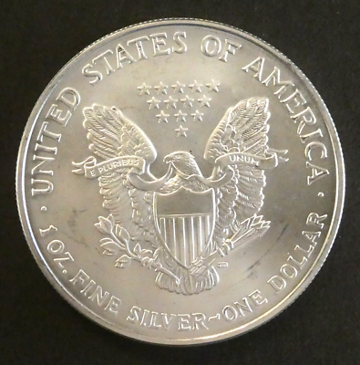 2006 $1 American Eagle Silver Dollar .999 1 Troy Ounce US Coin | eBay