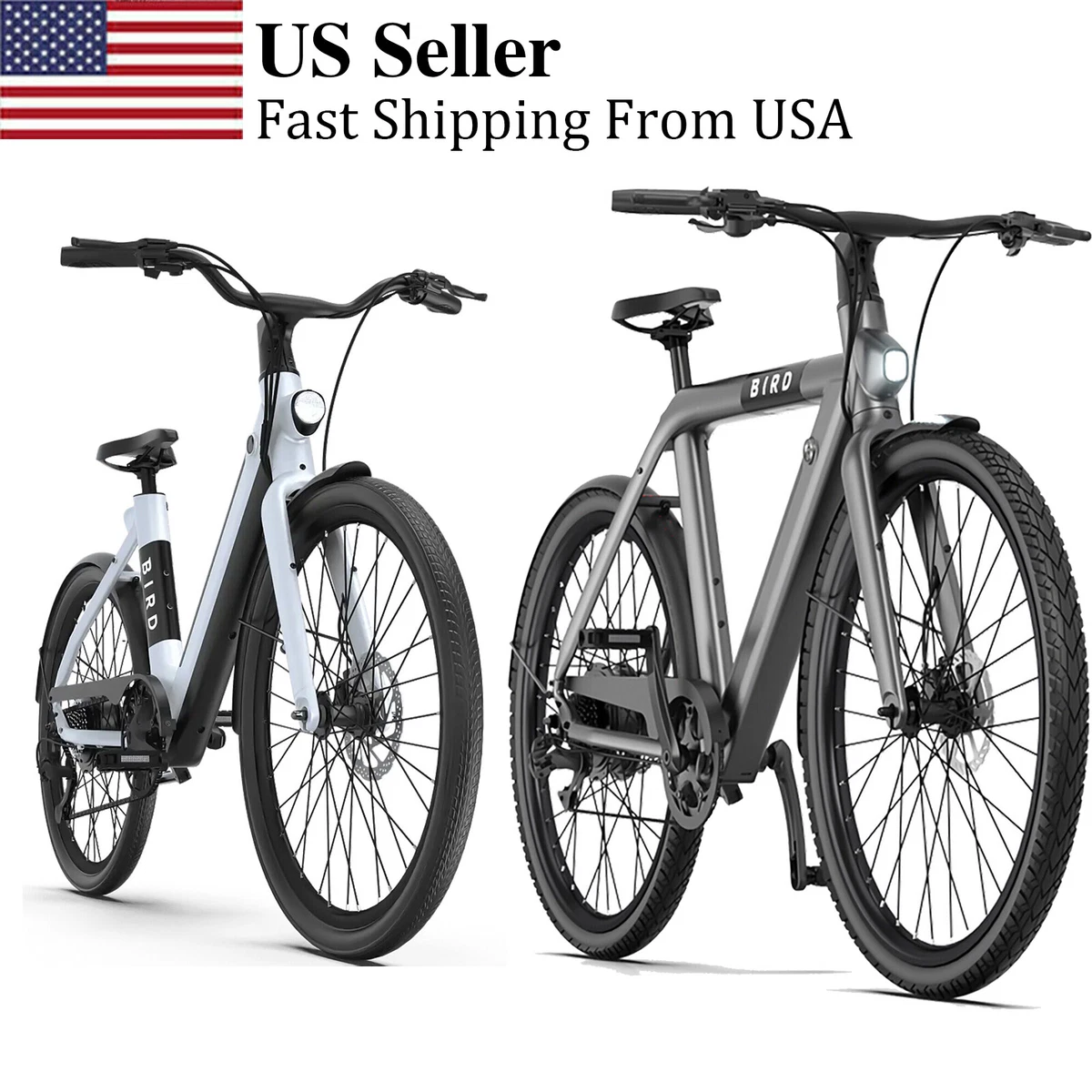 500W Bird Bike Alloy A V Frame Adult Electric E Bike Mountain