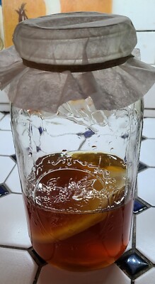 Kombucha Starter Kit EVERYTHING you need to make kombucha at home