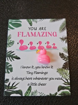 Pocket Hug / Haustier Flamingo Geschenk 