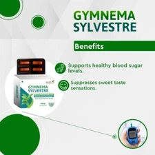 Allen Pharma Gymnema Sylvestre (30 Capsules – 500mg) Healthy Blood Sugar Levels