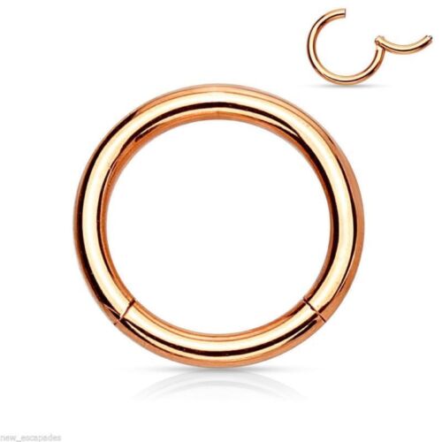 Segment Hinged Captive Ring 18 Gauge 5/16" Rose Gold Plate Body SET of 2 - Picture 1 of 3