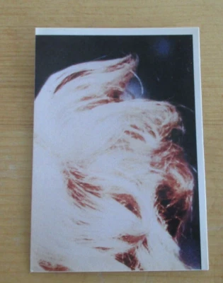1988 MADONNA #3 MUSIQUE SALUT COLLECTION PANINI VIGNETTE NEUVE - Photo 1/2