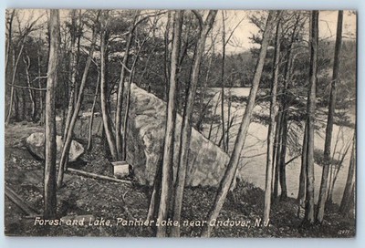 1910 Andover New Jersey NJ Vintage Postcard Forest Lake Panther Trees Unposted