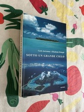 Sotto un grande cielo. Mille giorni di mare.. Libro Vela Auriemma Eordegh Mursia